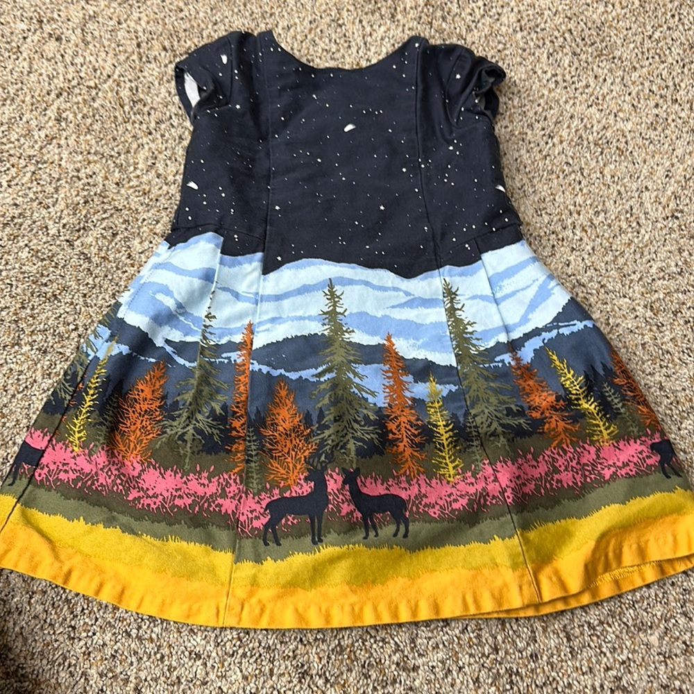 Size 2t Oshkosh dress